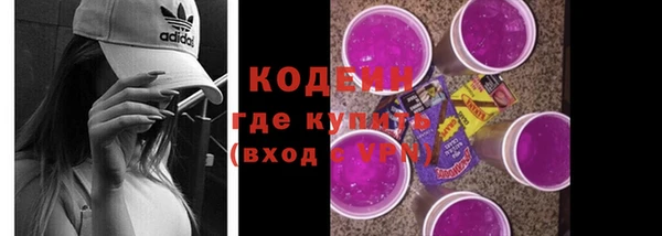 СК Медвежьегорск