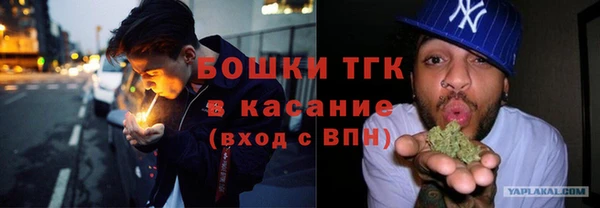 СК Медвежьегорск