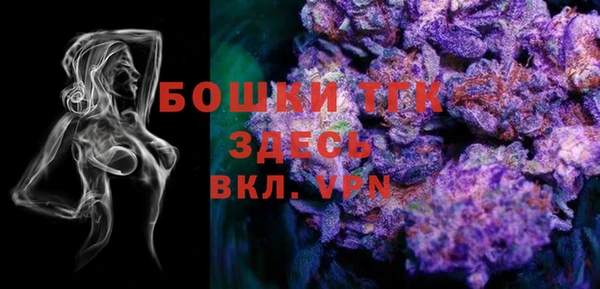 тгк Мегион