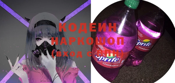 СК Медвежьегорск